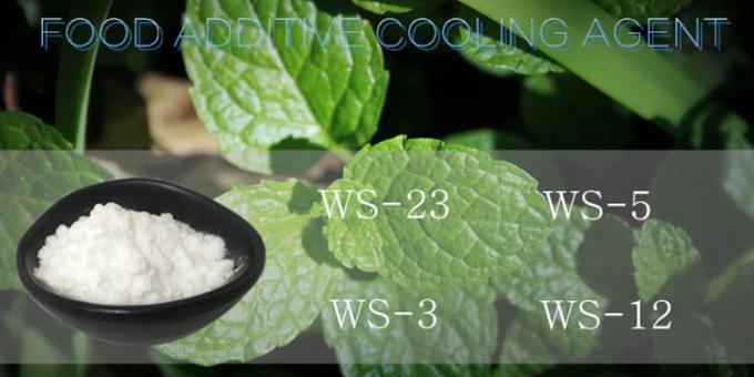 White Cooling Agent Powder Ws23 Food Grade Additive For Making Chewing Gum 1