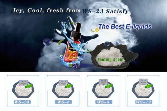 High Purity WS-23 Cooling Agent Slight Menthol Odor For Food / Candy CAS 5111-67-4 0