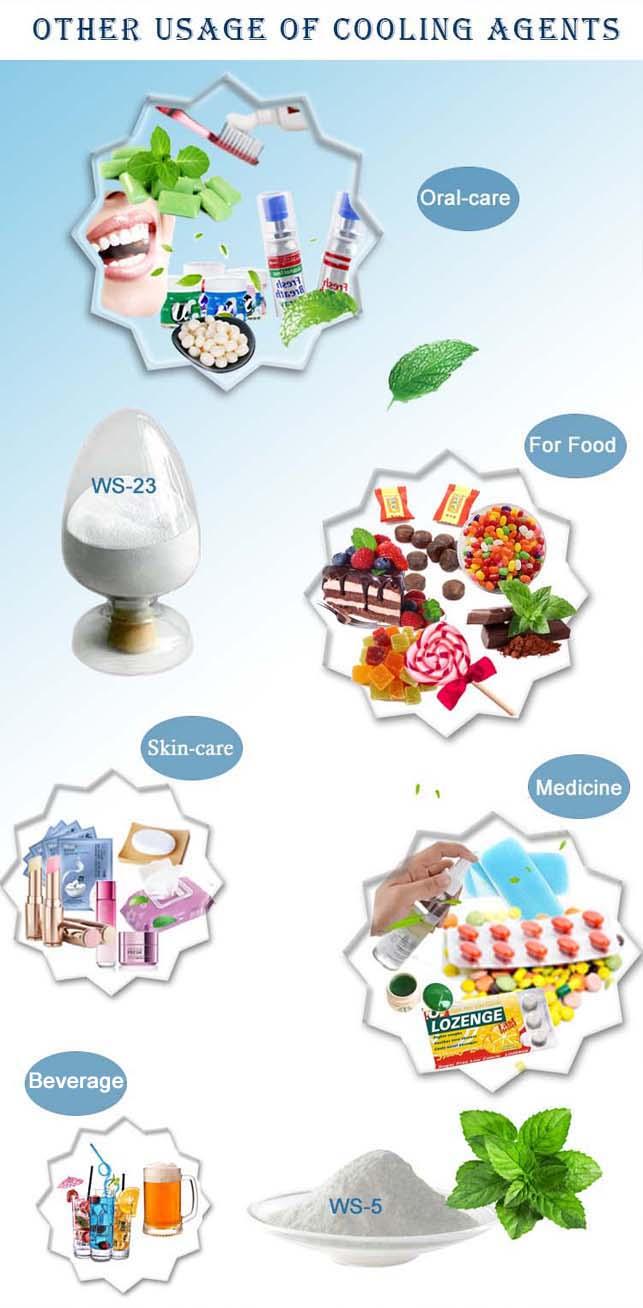 High Purity WS-23 Cooling Agent Slight Menthol Odor For Food / Candy CAS 5111-67-4 1