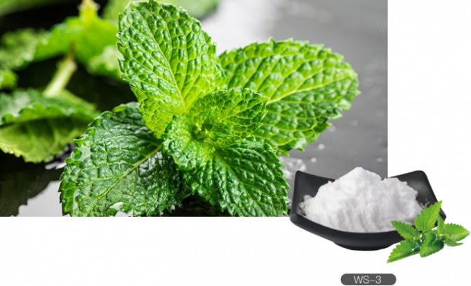 C10H21NO Food Grade 99.9% Koolada WS-23 Cooling Agent 0