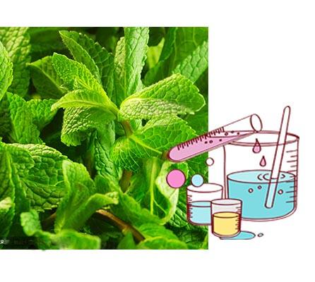 C10H21NO Food Grade 99.9% Koolada WS-23 Cooling Agent 1