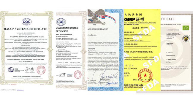 MSDS Certified 99% Purity Tobacco E Vaping Liquid with Fruit Flavor Concentrate for E Cigarette and Vape Juice 5