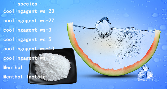Taima Food Grade Additive Ws27 White Powder Cooling Agent Ws-27 0
