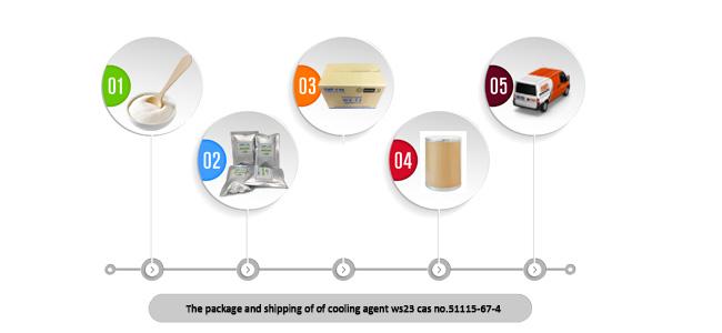 E Liquid Cosmetic Food Ws23 Cooling Agent CAS 51115-67-4 3
