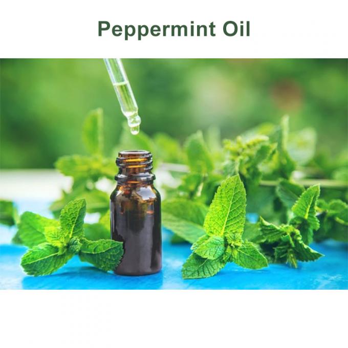 MSDS Food Grade Additives 99% Peppermint Essential Oil CAS 8006-90-4 0