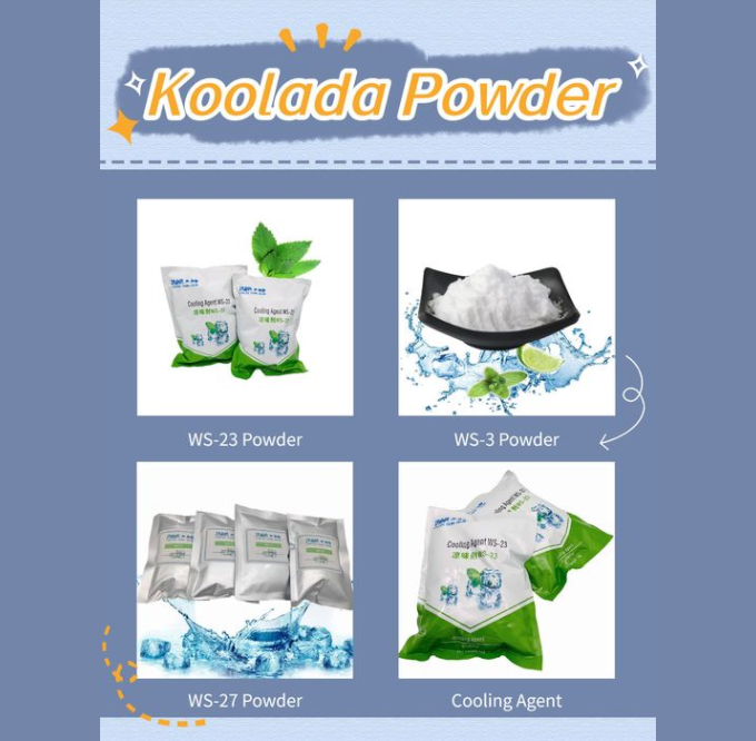 C10H21NO Vape E Liquid WS23 Cooling Agent Powder 99% Purity 0