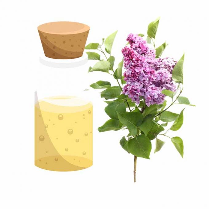 Pure Food Grade Additives Natural Eugenol Oil For Fragrance Flavor 7