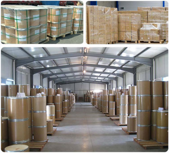 Bulk Natural Sucralose Powder CAS 56038-13-2 Food Grade Sweetener Sucralose 4