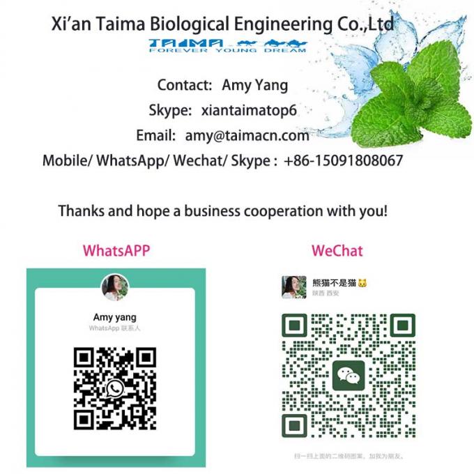 Xi an Taima Find Your Favorite Mint E Liquid Flavors from Our Selection of 1000 Concentrates 7