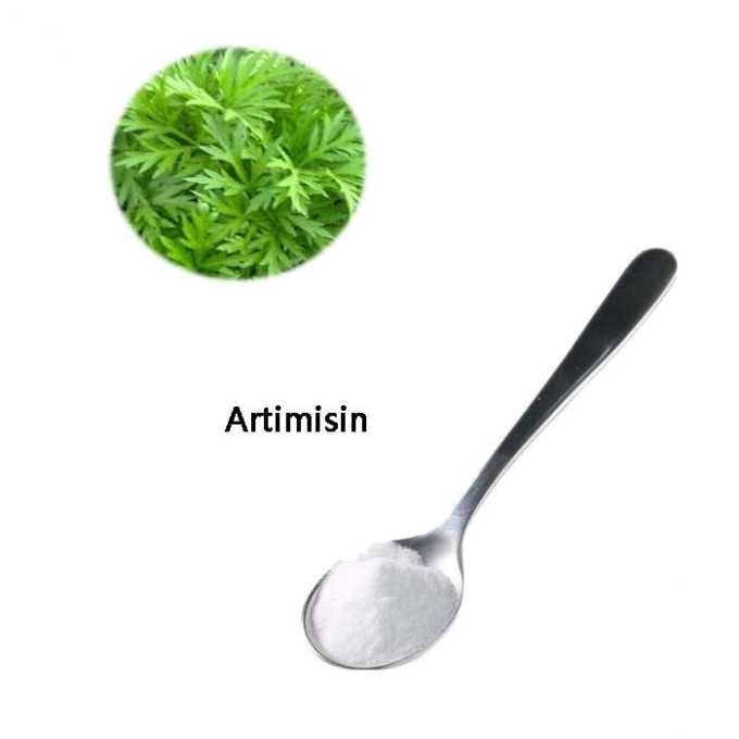 Pure Organic Artemisia Annua Extract 99% Purity CAS 63968-64-9 1