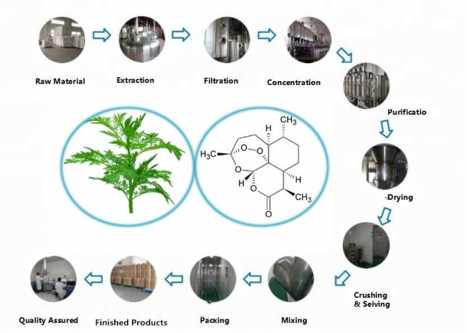 Pure Herb CAS 63968-64-9 Artemisia Annua Extract C15H22O5 0