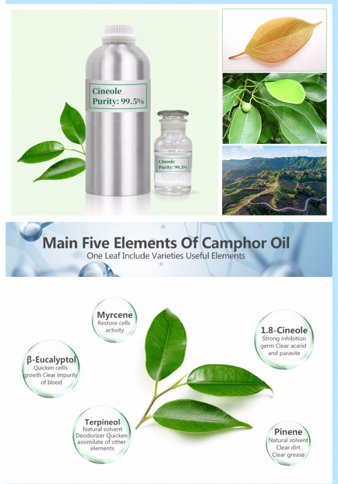 100% Pure Natural Organic Eucalyptus Essential Oil Skin Revitalizer 0
