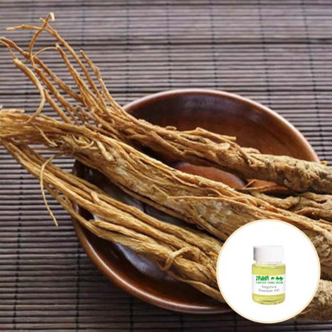 Fragrance Angelica Essential Oil For Anti Aging Adjusting Skin Secretion 0