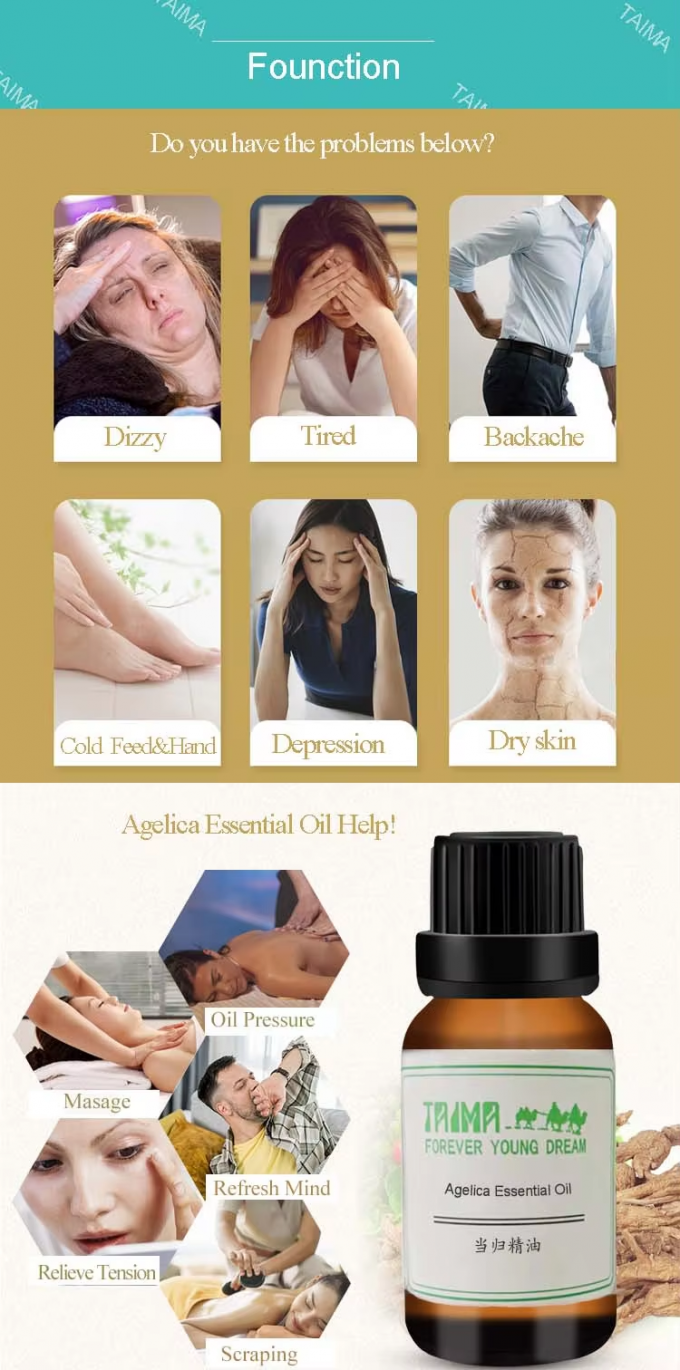 Organic Food Grade Additives Herbal Angelica Root Oil CAS 8015-54-3 2