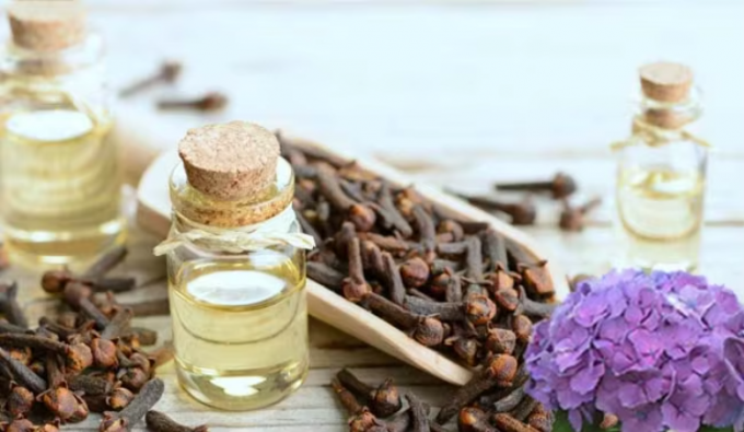 100% Pure Natural Clove Leaf Extracted Clove Essential Oil 0