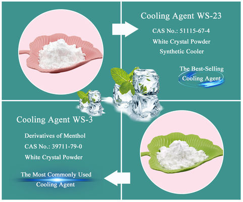 Long Term Pure Cooling Agent WS-5 For Food Drinks Cosmetics Pharma Use