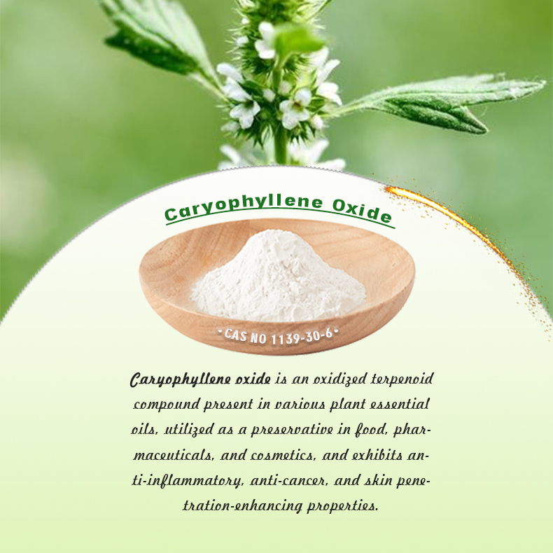 Cooling Agent Ws-23 Food Grade For Daily Chemical Products And Vape