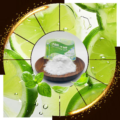 China Chemical Name N Purity 99.0% Min Super Cool Icy Cooling Agent with No Odor and Flavor WS23