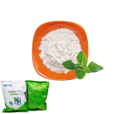 China C10H21NO Minty Vape Flavor Cooling Agent Powder WS-23