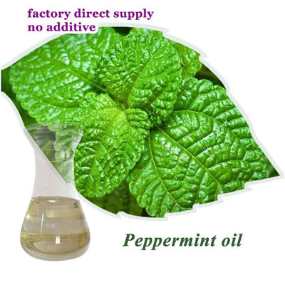 China CAS 8006-90-4 Leaves Pure Peppermint Essential Oil Anti Inflammatory