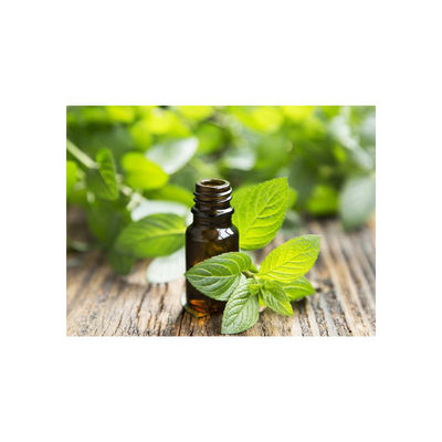 buy Colorless Leaves CAS 8006-90-4 Peppermint Essential Oil online manufacturer