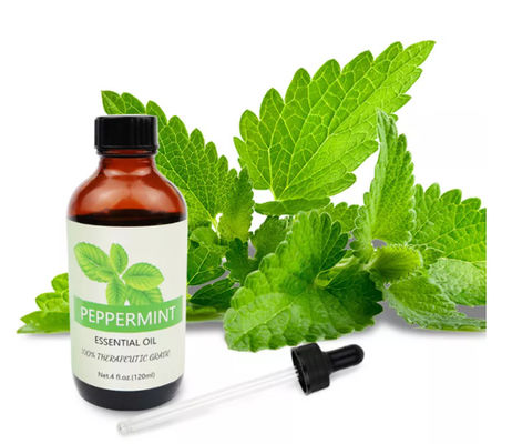 China ODM 100% Natural Peppermint Essential Oil For Skin Care