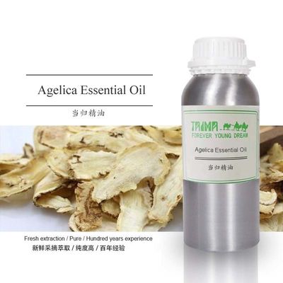 China Organic Food Grade Additives Herbal Angelica Root Oil CAS 8015-54-3